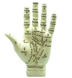 Palmistry